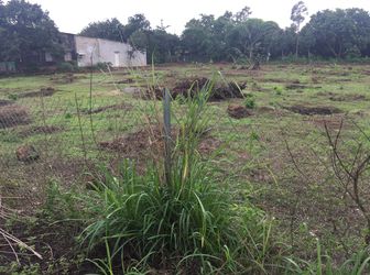 Bán Đất Mặt Tiền Đường Nguyễn Văn Trỗi Tp Long Khánh