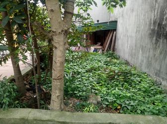 Bán Nhanh Mảnh Đất Long Biên Giá Cực Yêu Thương