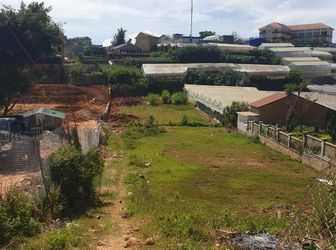 Bán Đất Đường Tô Hiệu, Phường 7, Đà Lạt - 2467M2 - Đ3159