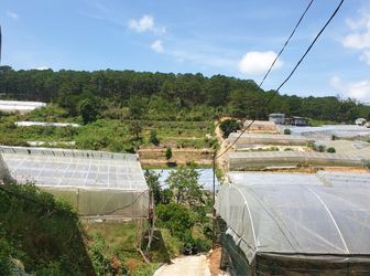 Bán Đất Đường Vạn Thành, Phường 5, Đà Lạt - 1137,71M2 - Đ3836