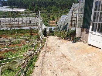 Bán Đất Đường Vạn Thành, Phường 5, Đà Lạt - 1137,71M2 - Đ3836