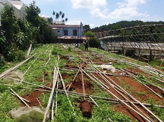 Bán Đất Đường Vạn Thành, Phường 5, Đà Lạt - 1137,71M2 - Đ3836