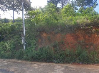 Bán Đất Đường Đống Đa, Phường 3, Đà Lạt - 369,5M2 - Đ3845