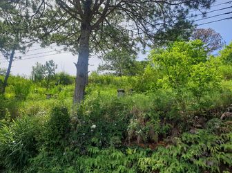 Bán Đất Đường Đống Đa, Phường 3, Đà Lạt - 369,5M2 - Đ3845