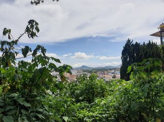 Bán Đất Đường Triệu Việt Vương, Phường 4, Đà Lạt - 1580,08M2 - Đ3843