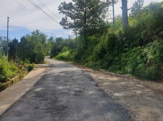 Bán Đất Đường Đống Đa, Phường 3, Đà Lạt - 369,5M2 - Đ3845