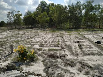 Đất Nền Biệt Thự Nghỉ Dưỡng Bình Châu – Xuyên Mộc, Sát Quốc lộ 55, Ven Biển, Sổ Riêng, Giá 3.7 – 4 Triệu/m2