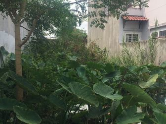 Hot!!! Giá Cực Sốc. Kdc Long Thới, 86M2(5X17), Thổ Cư 100%,shr,lh 0817888118