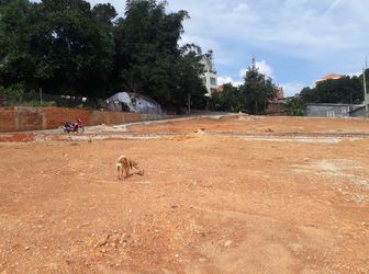 "bán Đất Đường Vạn Hạnh, Phường 8, Đà Lạt 233,3Mv Đ3909