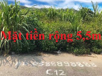 Sàn Bđs Chung Anh Bán Nhiều Ô Đất Cao Xanh C -C12 - Ô 271. 