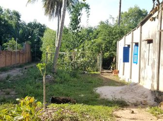 Đất Rẻ Đối Diện Chợ Bưng Riềng, Xuyên Mộc, 5X40M, Có Thổ Cư, 0336.335.234