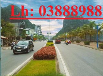 Bán Đất Khu Đô Thị Cặp Bè Hướng Tây Nam Phường Bạch Đằng Thành Phố Hạ Long Quảng Ninh.