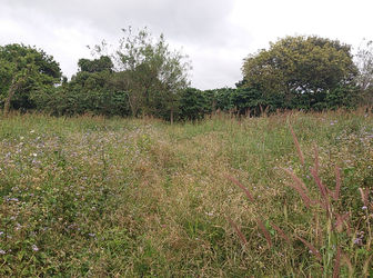 Bán Đất Thôn 5, Xã Tà Nung, Đà Lạt 3630Mv Đ3976