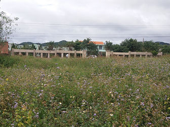 Bán Đất Thôn 5, Xã Tà Nung, Đà Lạt 3630Mv Đ3976