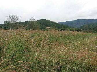 Bán Đất Thôn 5, Xã Tà Nung, Đà Lạt 3630Mv Đ3976