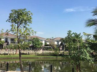 Bán Biệt Thự Đơn Lập Camelia Garden Nguyễn Văn Linh, Bình Hưng,bình Chánh 