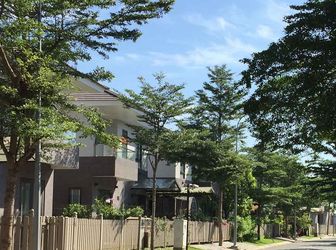  Bán Gấp Nhà Phố Camellia Garden Cđt Nam Long Nguyễn Văn Linh, Bình Hưng, Bình Chánh