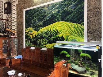 Nhà Hẻm Tặng Nguyên Nội Thất, Xe Tải Ô Tô Vào Tận Nhà