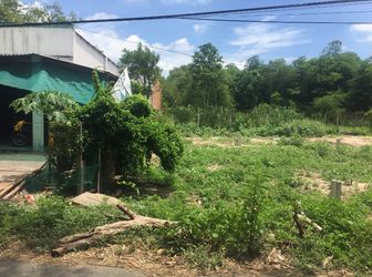 Đất Mặt Tiền Đường 100M2 Chỉ Có 500Tr _ Shr, Pháp Lý Rõ Ràng