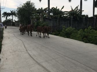 Long An Được Đánh Giá Là Thị Trường Mới Nổi Và Được Quan Tâm Nhất Hiện Nay Bất Động Sả