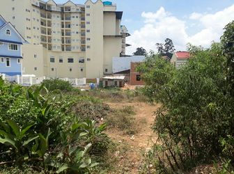 Bán Đất Đường Trần Đại Nghĩa, Phường 8, Đà Lạt 291,5Mv Đ2909