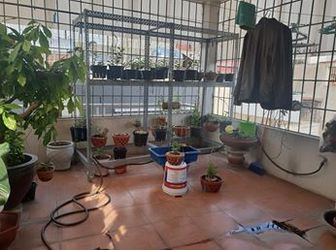 Nhà Mới, Đẹp, Ở Luôn, Kd, 3 Mặt Thoáng, Thụy Khuê, Tây Hồ, 44Mx5T, 4.4 Tỷ.0986454622