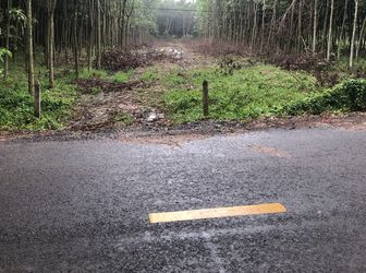 Bán Đất Thổ Cư Mặt Tiền Đường Bùi Thị Điệt Xã Nhuận Đức Củ Chi, Diện Tích 543M