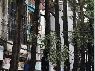 Mặt Phố Trần Xuân Soạn Hai Bà Trưng Kinh Doanh 111M2 Mt 4,5M