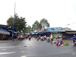 Cần Bán 2 Dãy Trọ+2 Kiot, Sổ Hồng Riêng,bình Dương,giá Rẻ