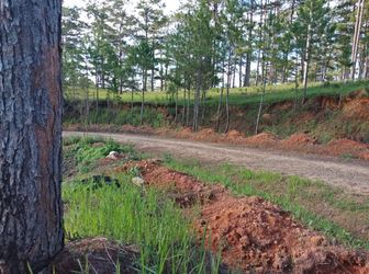 Bán Đất Xã Đasar, Huyện Lạc Dương, Tỉnh Lâm Đồng 12786,88Mv Đ4115