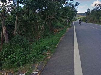 Bán Đất Xã Đasar, Huyện Lạc Dương, Tỉnh Lâm Đồng 12786,88Mv Đ4115