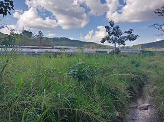 Bán Đất Xã Đasar, Huyện Lạc Dương, Tỉnh Lâm Đồng 12786,88Mv Đ4115