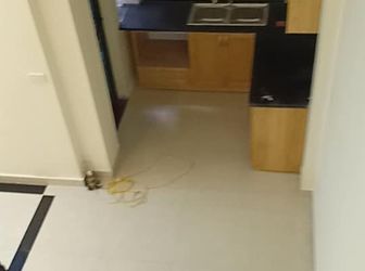 Bán Nhà Láng, 3 Mặt Thoáng, Ngõ 4M, Ở Ngay, Nhà Đẹp, 5,7 Tỷ