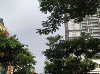 Tòa Complex 11 Tầng Cát Linh, Gara, Showroom, Apt, 86M2, Mặt Tiền 4.5M, 31 Tỷ. Lh 0917420066