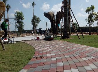 Cần Bán Gấp Lô Đất 100M2 Thổ Cư Sổ Riêng 800 Triệu Ngay Chợ Hội Nghĩa. Phường Hội Nghĩa Tỉnh Bình Dương .