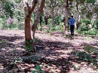 Bán 7Ha Đất Có Nhà Cấp 4 Vườn Cao Su Và Điều Tại Xã Đoàn Kết, Huyện Bù Đăng