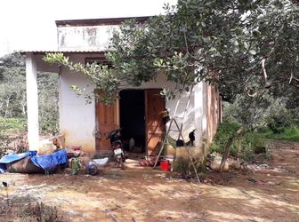 Bán 7Ha Đất Có Nhà Cấp 4 Vườn Cao Su Và Điều Tại Xã Đoàn Kết, Huyện Bù Đăng