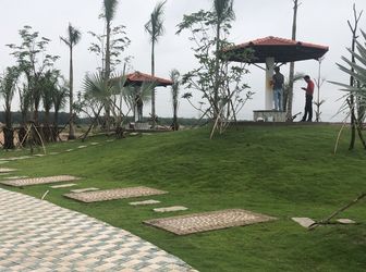 Đất Nền Bàu Bàng Giá Rẻ Bất Ngờ