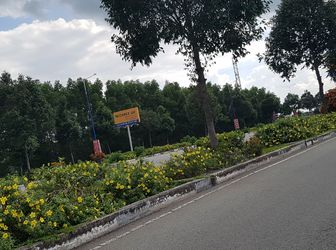 Bán Gấp Lô Đất Mặt Tiền Có Sổ Hồng Riêng Gần Chợ