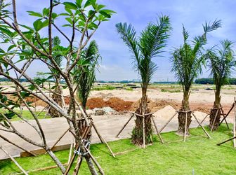 Cơ Hội Sở Hữu Đất Nền Sổ Hồng Mt Ql 13 