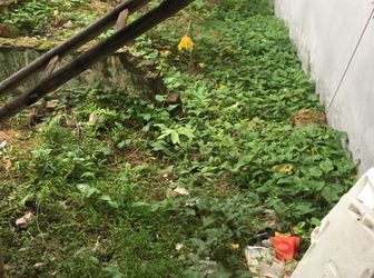 Cần Bán Đất Thổ Cư 40M2 Tại Kim Chung, Hoài Đức- Hà Nội