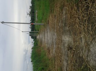 Chính Chủ Cần Bán Gấp Trong Tuần 