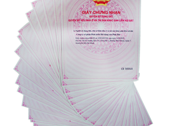 Vì Sao Nên Mua Nhơn Hội Để Đầu Tư