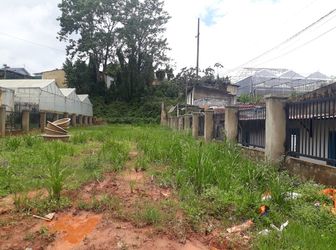 Bán Đất Đường Hồ Xuân Hương, Phường 9, Đà Lạt 556.2Mv Mã 19024