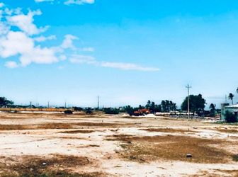 Ninh Thuận Cơ Hội Cho Những Ai Biết Nắm Bắt   