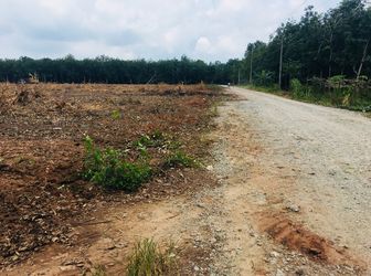 Đất Sổ Hồng 1000M2 ( 10X100) Dầu Tiếng, Bình Dương