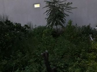 Bán Gấp Lô Đất Chính Chủ 48m2 . Giá Bán 35 Triệu /m2, Hướng Tây. 