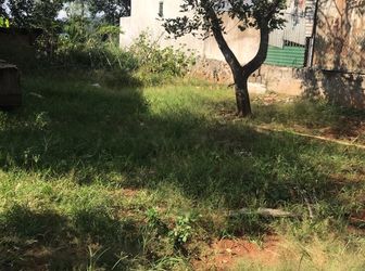 Đất Thổ Cư Diện tích Gần 300M2 Đẹp Không Tì Vết Giá Thấp Hơn Thị Trường. Hãy Đầu Tư Sinh Lời.