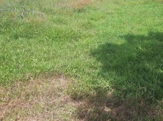 Cần Bán Đất Mặt Tiền Ở TPHCM, Giá 900 Triệu Thương Lượng , sổ hồng riêng