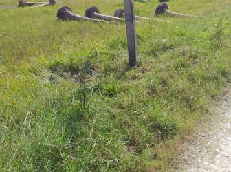 Cần Bán Đất Mặt Tiền Ở TPHCM, Giá 900 Triệu Thương Lượng , sổ hồng riêng